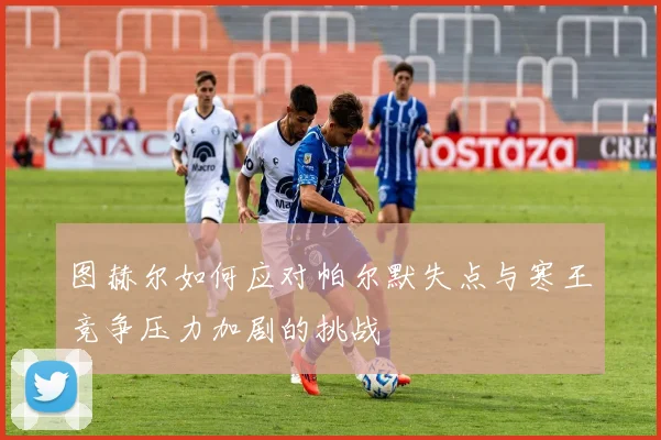 图赫尔如何应对帕尔默失点与寒王竞争压力加剧的挑战