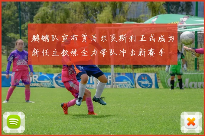 鹈鹕队宣布贾马尔莫斯利正式成为新任主教练全力带队冲击新赛季